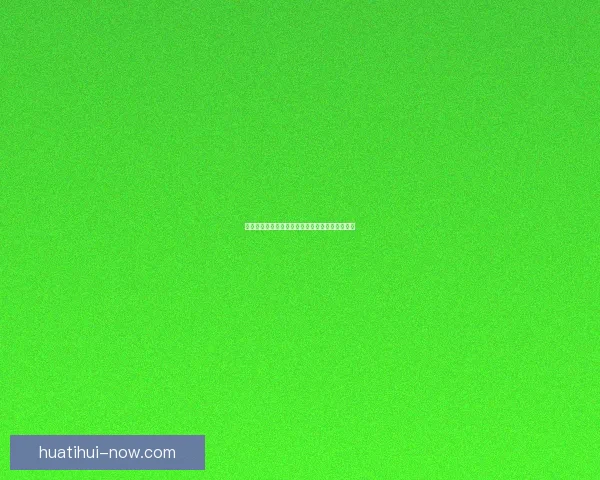 华体会代理加盟项目详解助您轻松开启盈利新机会